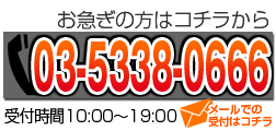 03-5338-0666